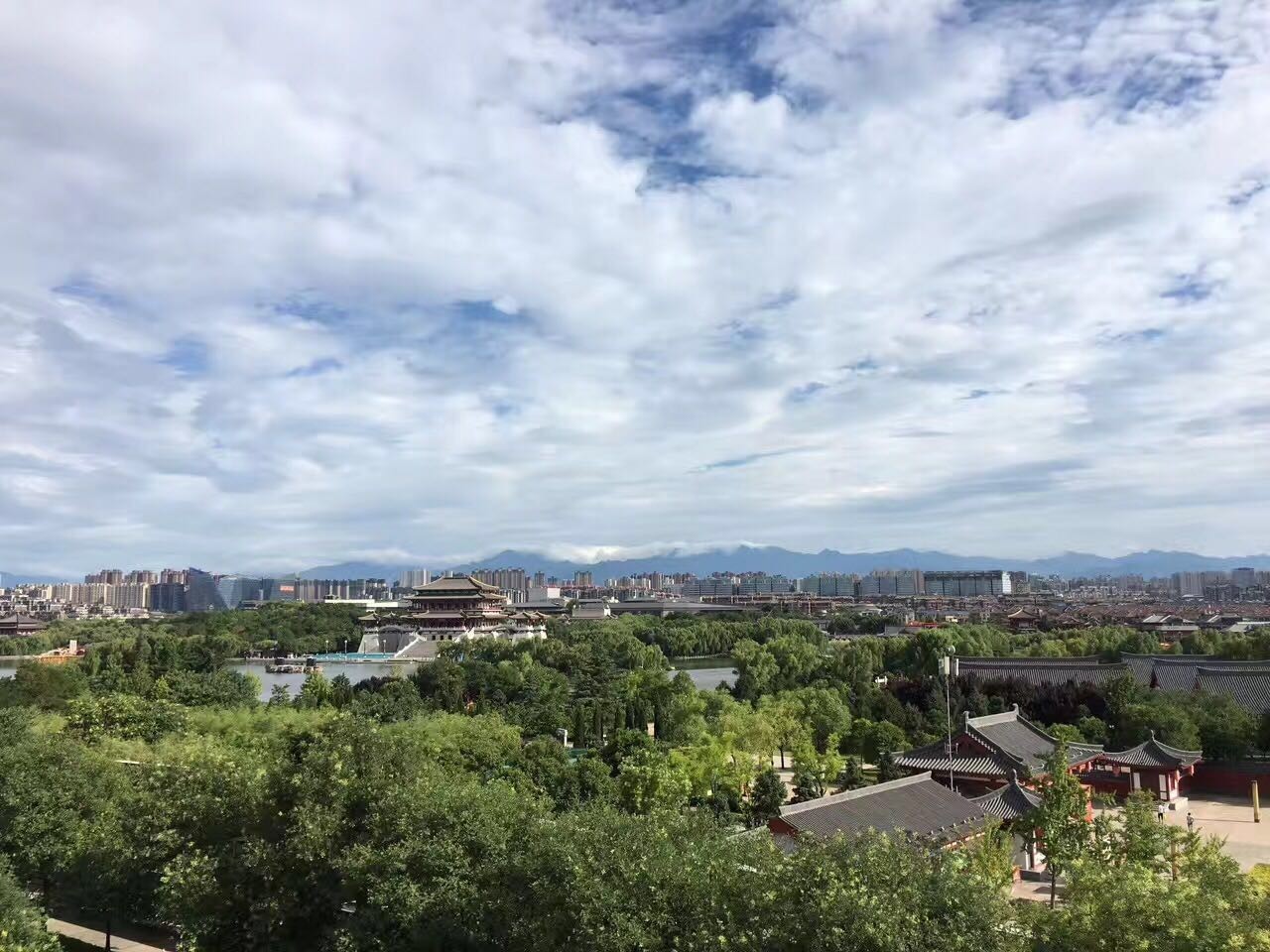 山东齐齐发最新动态，自然美景探索之旅，寻找内心平和与宁静