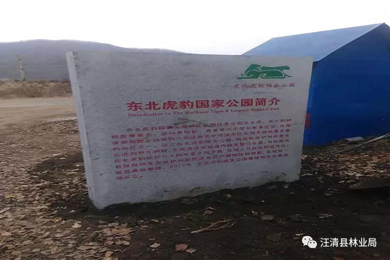 东宁虎豹公园最新动态揭秘✨