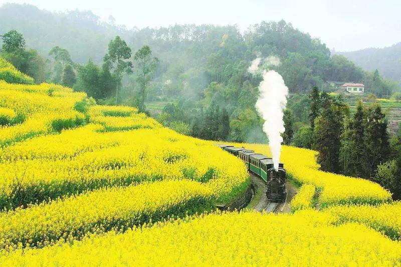 湖南宁远划市最新动态，自然美景探索之旅启幕