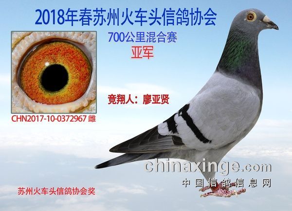 科技魅力 第2页