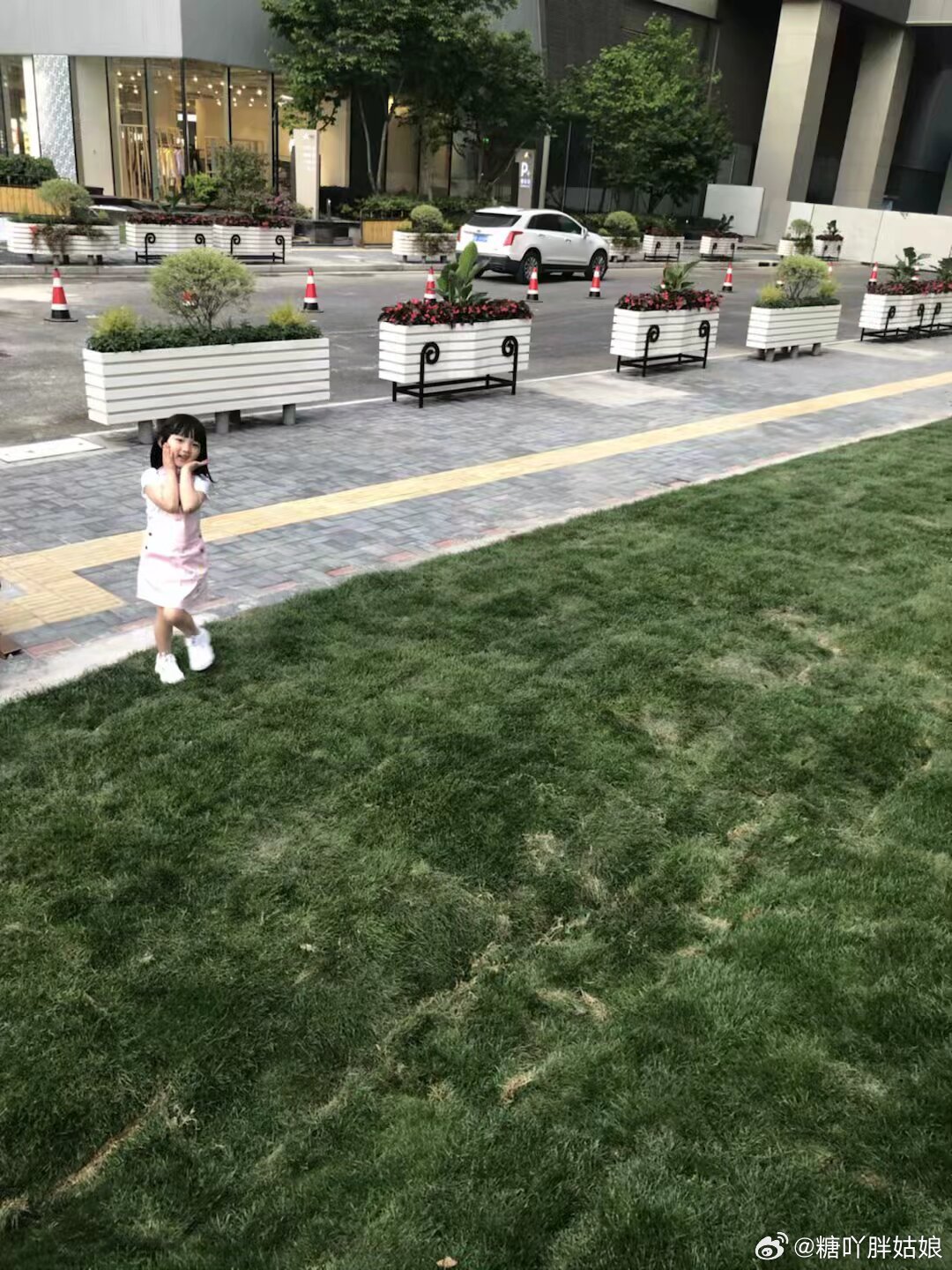 草遛2017最新，城市草坪上的温情故事