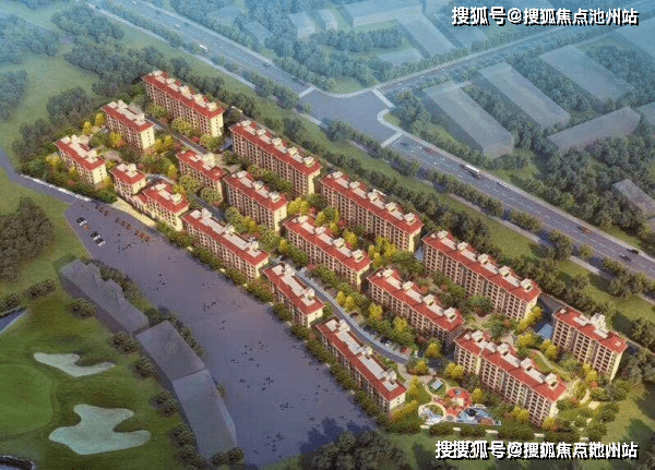 国事最新动态，观点阐述与分析