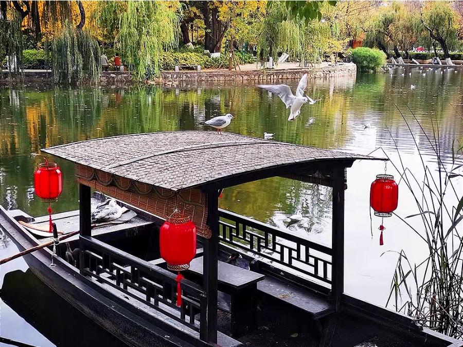 广东高考最新动态，自然美景的探索之旅启程