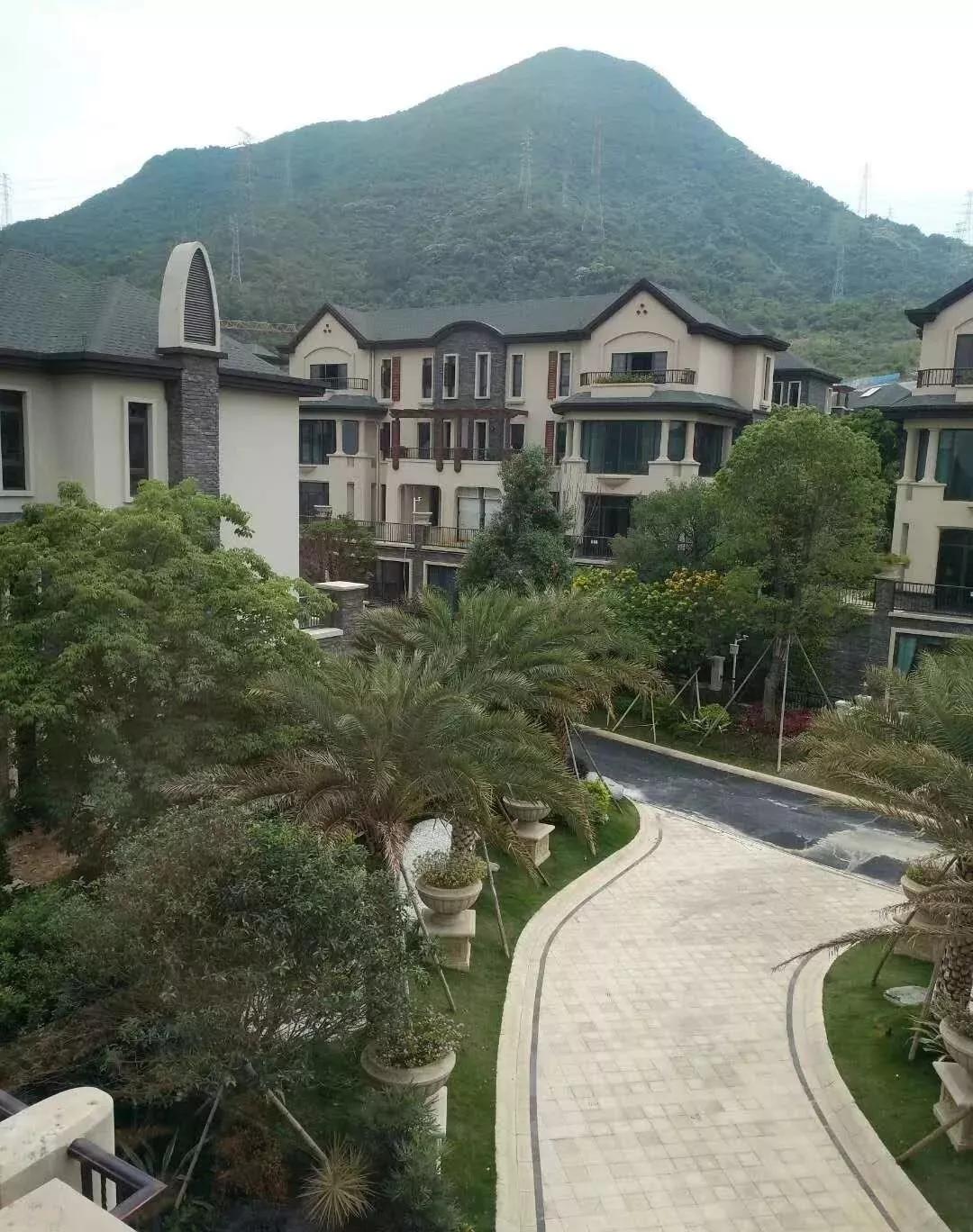 鹿城一号最新房价详解，购房步骤指南