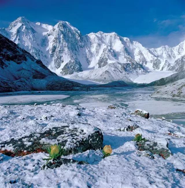 深圳地铁14号线最新动态，开启自然美景探索之旅