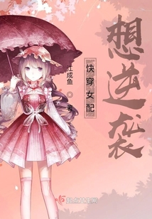 快穿女配逆袭最新篇章揭秘，逆袭之路，闪耀之星
