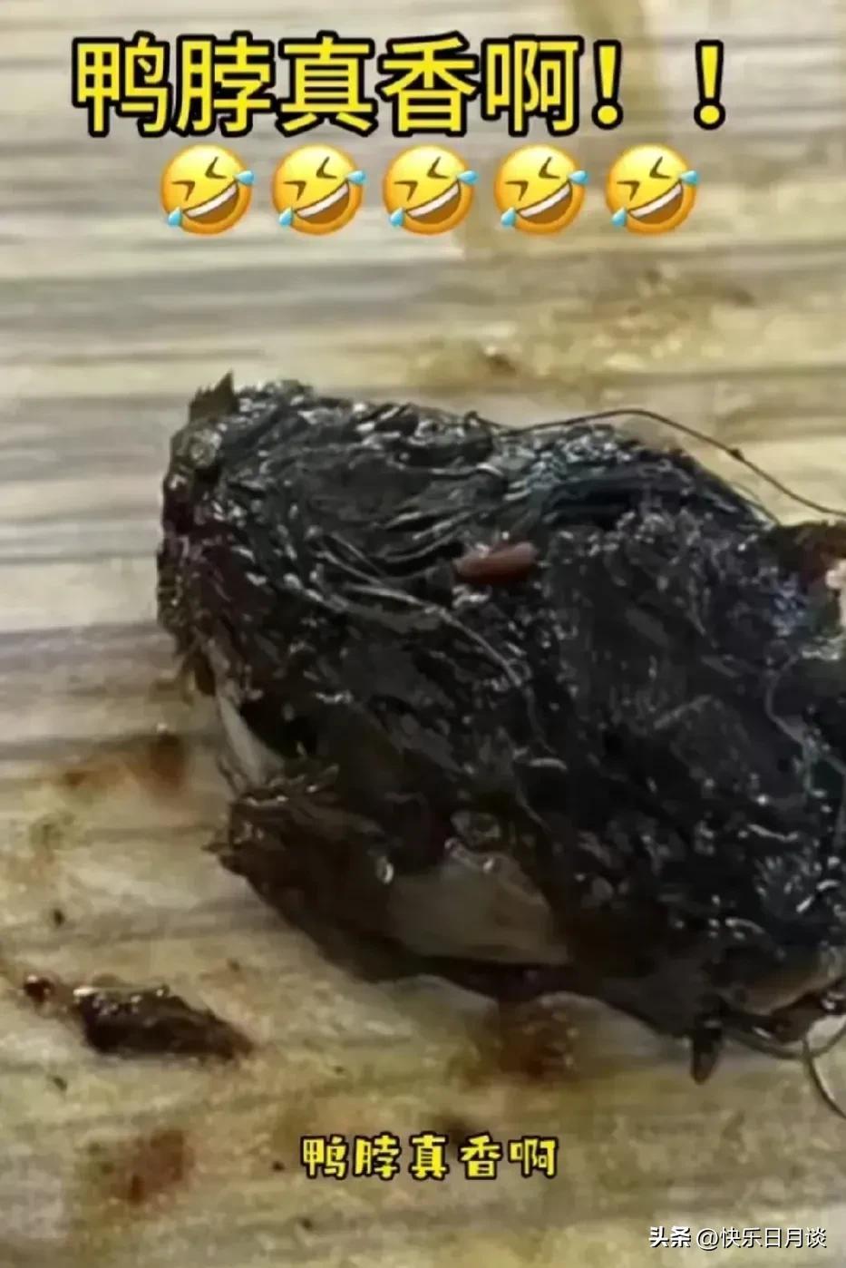 科技魅力