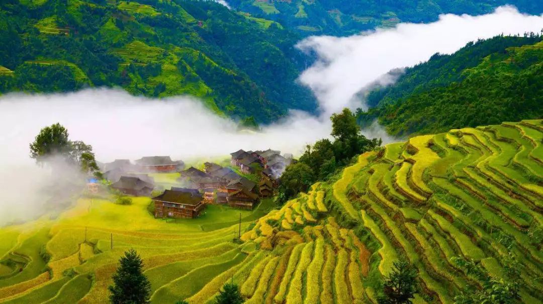 岳西新鲜资讯，探索自然美景，寻找内心平和之旅